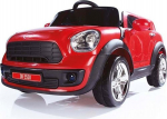 DOLU Araba auto n/akumulator 12V RC 8191 81919 | 8690089081919 | 8690089081919