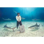 Walizka foto B&W International B&W Carrying Case Outdoor Type 6800 black | 6800/B | 4031541703033