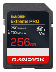MEMORY SDXC 256GB UHS-1/SDSDXXJ-256G-GSCIN SANDISK | SDSDXXJ-256G-GSCIN | 619659224301