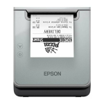 Epson EPSON TM-L100 (103A0): USB | C31CJ52103A0 | 8715946734286
