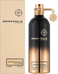 Montale Vetiver Patchouli EDP 100ml | 3760260456913 | 3760260456913