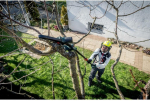 Piła łańcuchowa In Win METABO.TELESCOPIC CHAINSAW MS 18 LTX 15 CARCASS METABOX | 691229000 | 4061792254213