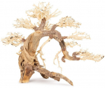 Norimpex Tonce drzewo Bonsai nr 13 60x40 | TN-42100 | 5904479421005