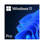 Microsoft | Windows 11 Pro | FQC-10572 | ESD | All Languages | FQC-10572