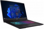 Laptop MSI Katana 17 / 17.3'' / i5-13420H / 32GB / 512GB / W11P (B13UCRK-1619PL) | B13UCRK-1619PL | 4711377445962