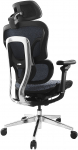 Krzesło biurowe Equip Equip Ergonomischer B&uuml;rostuhl mit Kopf und Armst&uuml;tzen  bl-sw lite Retail | 651052 | 4015867238639