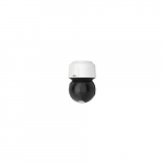 Kamera IP Axis Axis Q6135-LE Douszne Kamera bezpieczeństwa IP Zewnętrzna 1920 x 1080 px Ściana | 01958-003 | 7331021069756