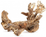 Norimpex Tonce drzewo Bonsai nr 50 70x50 | TN-42078 | 5904479420787