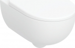 Miska WC Alkotest 502.793.00.1 / GEBERIT / SELNOVA PREMIUM / WISZĄCA MISKA WC  Z DESKĄ DUROPL WOLNOOP / UKRYTY MONTAŻ | 4025410070999 | 4025410070999