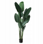 Boltze Sztuczna roślina bananowiec, wys. 185 cm | 4066076005383 | 4066076005383
