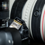 Karta PNY Elite Performance SDXC 256 GB Class 10 UHS-I/U3 (SD256ELIPER-EF) | SD256ELIPER-EF | 3536401537090