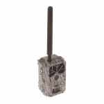 Kamera IP FOTOPUŁAPKA HC-BG636-48M | HC-BG636-48M | 5902887069956