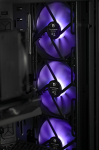 Actina 5901443414506 PC AMD Ryzen&trade; 7 7700 32 GB DDR5-SDRAM 2 TB SSD NVIDIA GeForce RTX 5070 Midi Tower Black | KOMACNGIP0238 | 5901443414506