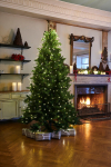 Lampki choinkowe Sirius Sirius Anni Tree, H2,1m+5m, 273L ,green | 61611 | 5707310616116