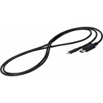 Kabel USB Eizo USB-C - DisplayPort 2 m Czarny (CP200-BK) | CP200-BK | 4995047056850