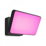 Philips Hue WCA Discover Outdoor Floodlight | 2000-6500 Hue White Colour Ambiance | 8718696170533 | 8718696170533