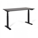 UNIQUE ACTIVE I Electric desk 140x70 cm Black | 14-C103W-B-140-YZ-13 | 5908242425849