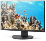 Monitor MultiSync DD-EA242W 24.1 inches black | 60006214 | 4550556177443