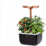 Veritable Veritable Doniczka Exky Smart Black&Copper | VPOT-SAWAS-EU2-164 | 3760262513256