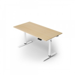 Arozzi Electric Standing Desk | Arena Nordico | Birch | ARENA-NRD-BCH | 850072937816