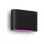 Philips Hue WCA Dymera Smart Wall Light Indoor and Outdoor | 2000-6500 Hue White Colour Ambiance | 8720169234505 | 8720169234505
