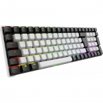 Klawiatura Sharkoon Skiller SGK50S2 | 4044951040810 | 4044951040810