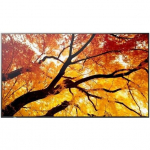 MultiSync M552 Large-Format Monitor - 55 inches 550 cd/m2, 24/7 Operation | PNM552 | 4550556130974
