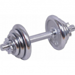 Spartan Hantel 1206 chromowany 1 x 10 kg | 1206 | 9001741012063