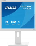 iiyama ProLite/B1980S-W1/19"/TN/1280x1024/75Hz/3ms/Biela/3R | B1980S-W1 | 4948570125432