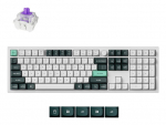 KEYBOARD WRL Q6 HE RGB/SHELL WHITE Q6H-P1 KEYCHRON | 4894979004543 | 4894979004543