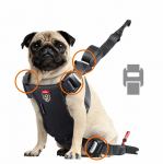 ZOLUX Travel Safe S red - dog harness | DLPZOUSOS0012 | 3336024621219