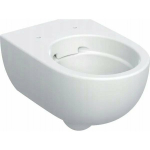 Miska WC Geberit Geberit Selnova Premium Wisząca miska WC, lejowa, B36cm, H33cm, T53cm, ukryte mocowania, Rimfree [6] | 19502.035.00.1 | 4025410626424