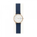 Zegarek Skagen Zegarek Damski Signatur SKW2838 + BOX | SKW2838 | 4013496878530