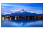 MultiSync P556 Large Format Monitor - 55-inch UHD, 700 cd/m2, 24/7 Operation | 60005916 | 4550556131056