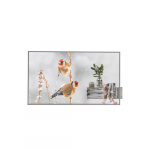LG | Digital Signage | 55EW5P | 55 " | Landscape/Portrait | 18/7 | webOS | 8 ms | 178 &deg; | Transparent | 178 &deg; | 600 cd/m&sup2; | 55EW5P-MwDongle | 2000001406229