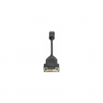 Adapter AV HP DisplayPort - DVI-D czarny (FH973AT) | FH973AT | 0884420349563