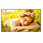Monitor 50UL5Q-E 500cd/m2 UHD 24/7 | 50UL5Q-E | 8806096602140
