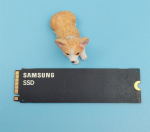 Dysk SSD Dell SSDR,1TB,G44,80S3,SMSNG,PM9A1 | 2DY5T | 5715063125380