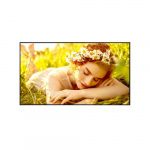 Monitor 43UL5Q-E 500cd/m2 UHD 24/7 | 43UL5Q-E | 8806096602126