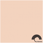 Colorama paberfoon 2,72x11m, oyster (0134) | LL CO134 | 5060101580844