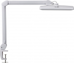 Lampka biurkowa Maul biała  (8205802) | 8205802 | 4002390079143