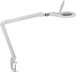 Lampka biurkowa Maul biała  (8263302) | 8263302 | 4002390076289