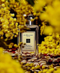 Jo Malone JO MALONE WOOD SAGE & SEA SALT EDC/S (W) 100ML | 690251033713 | 690251033713