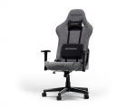 DXRACER Prince Series L grey ergonomic chair (L24-FBC-G) | PRINCE-L-F24-FBC-G-X1 | 7340136119560