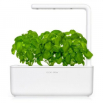Click & Grow Smart Garden, valge | SGS1UNI | 4742793007205