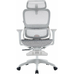 Krzesło biurowe Sihoo Ergonomiczne krzesło biurowe B100 Mesh White z podn&oacute;żkiem (B100-B102-JT) | B100-B102-JT | 4820216981520