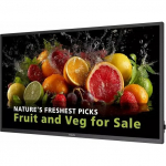 50" D-LED Philips 50BDL50505-UHD,600,AN,24/7 | 50BDL5050D/00 | 8721038102260