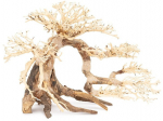 Norimpex Tonce drzewo Bonsai nr 63 80x50 | TN-42101 | 5904479421012