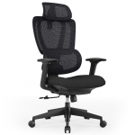 Fully Adjustable Ergonomic Office Chair with Headrest and Lumbar Support | HS084929 | 9990001084929