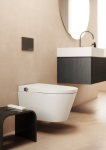 Bidet Ideal Standard Toilet Hang Bidet FN. IDEAL K875501 | 4015413086493 | 4015413086493